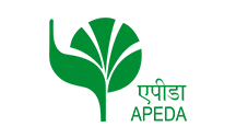 67662779213apeda-logo